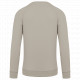 Felpa uomo BIO girocollo manica raglan NON GARZATA K480 Kariban