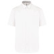 Camicia uomo Ariana cotone manica corta K587 Kariban