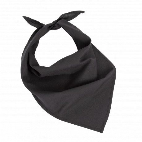 Fiesta - Bandana KP064 K-up