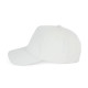 Cappellino unisex ecosostenibile a 5 pannelli NS037 Native Spirit