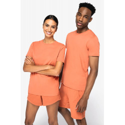 T-shirt unisex ecosostenibile NS314IC Native Spirit
