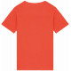 T-shirt donna slavata vintage look NS317 Native Spirit