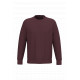 Felpa girocollo unisex ecosostenibile NS400 Native Spirit