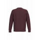 Felpa girocollo unisex ecosostenibile NS400 Native Spirit