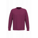 Felpa girocollo unisex ecosostenibile NS400 Native Spirit