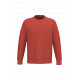 Felpa girocollo unisex ecosostenibile NS400 Native Spirit
