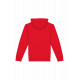 Felpa unisex con cappuccio ecosostenibile NS401 Native Spirit