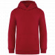Felpa con cappuccio bambino ecosostenibile NS404 Native Spirit