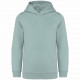 Felpa con cappuccio bambino ecosostenibile NS404 Native Spirit