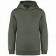 Felpa con cappuccio bambino ecosostenibile NS404 Native Spirit