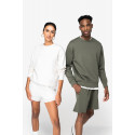 Felpa girocollo unisex ecosostenibile con spalle scese i in felpa garzata NS435 Native Spirit