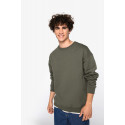 Felpa girocollo unisex oversize ecosostenibile NS440 Native Spirit