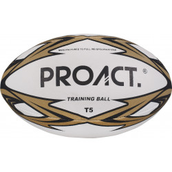 Pallone challenger T5 PA824 PROACT®