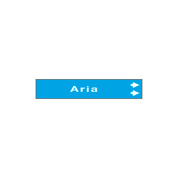 Foglio da 5 etichette fndo azzurro ARIA " freccia destra