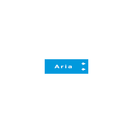 Foglio da 5 etichette fondo grigio" ARIA"destra