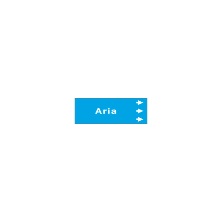 Foglio da 5 etichette fondo azzurro" ARIA " destra