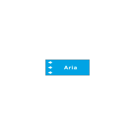 Foglio da 5 etichette fondo azzurro" ARIA " sinistra