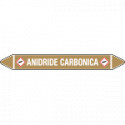 Foglio da 5 etichette autoadesive con frecce+simb ANIDRIDE CARBONICA