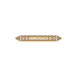 Foglio da 5 etichette autoadesive con frecce e simboli per AMMONIACA