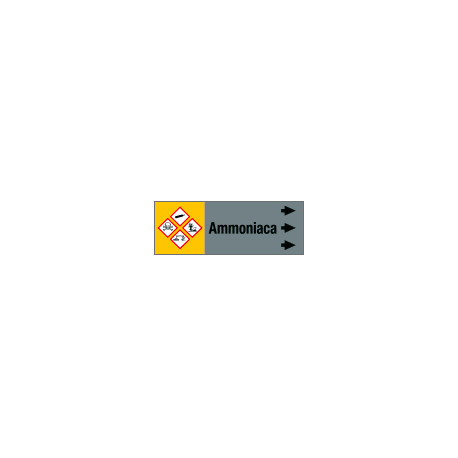 Foglio da 5 etichette fondo grigio "AMMONIACA"destra