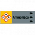 Foglio da 5 etichette fondo grigio "AMMONIACA"destra