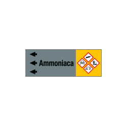 Foglio da 5 etichette fondo grigio "AMMONIACA" sinistra