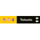 Foglio da 5 etichette fondo nero "TOLUOLO" freccia destra