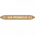 Etichetta singola autoadesiva con frecce e simboli GAS PROMISCUO