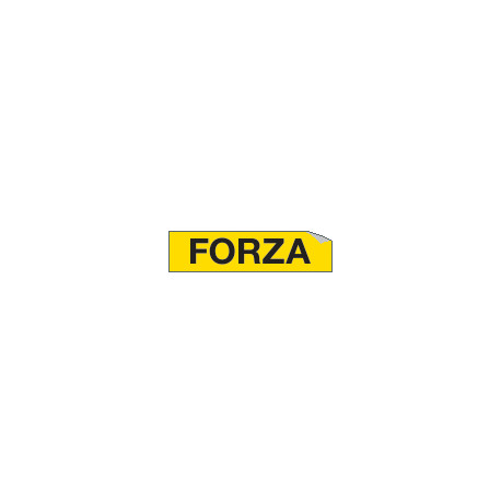 Foglio n. 1 etichette adesive FORZA