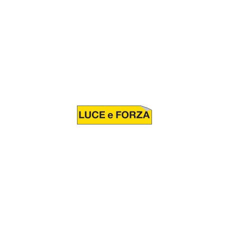 Foglio n. 1 etichette adesive LUCE E FORZA