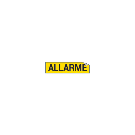 Foglio n. 1 etichette adesive ALLARME