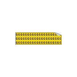 Foglio n. 60 etichette adesive G/N lettera G