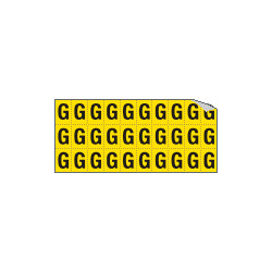 Foglio n. 30 etichette adesive G/N lettera G