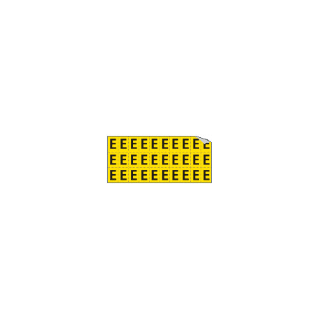 Foglio n. 30 etichette adesive G/N lettera E