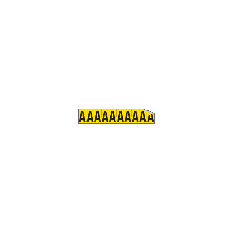 Foglio n. 10 etichette adesive G/N lettera A