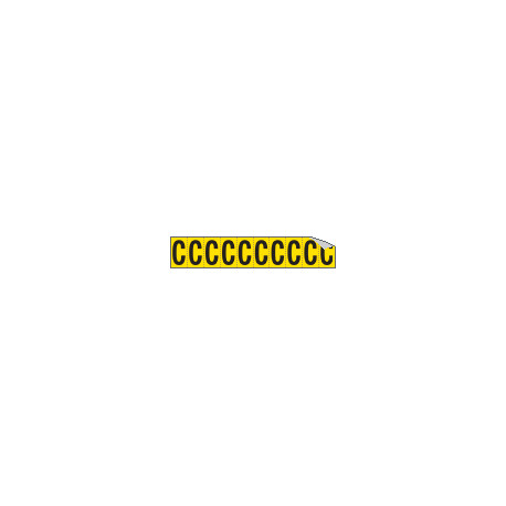 Foglio n. 10 etichette adesive G/N lettera C