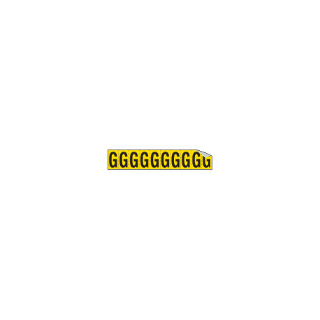 Foglio n. 10 etichette adesive G/N lettera G