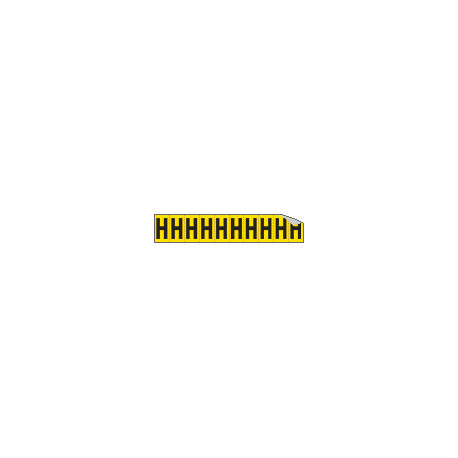 Foglio n. 10 etichette adesive G/N lettera H