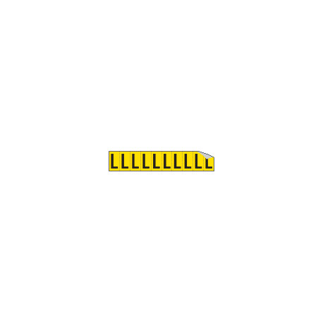 Foglio n. 10 etichette adesive G/N lettera L