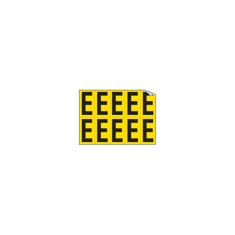 Foglio n. 10 etichette adesive G/N lettera E
