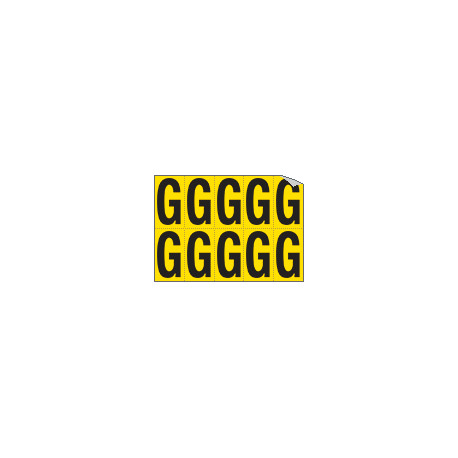 Foglio n. 10 etichette adesive G/N lettera G