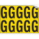 Foglio n. 10 etichette adesive G/N lettera G