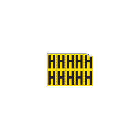 Foglio n. 10 etichette adesive G/N lettera H