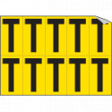 Foglio n. 10 etichette adesive G/N lettera T