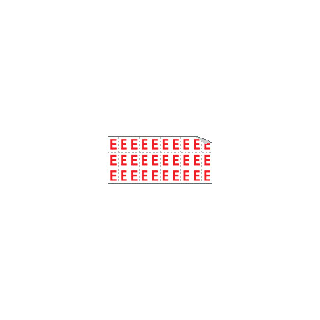 Foglio n. 30 etichette adesive B/R lettera E