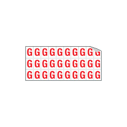 Foglio n. 30 etichette adesive B/R lettera G