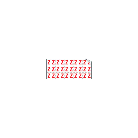Foglio n. 30 etichette adesive B/R lettera Z
