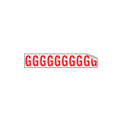 Foglio n. 10 etichette adesive B/R lettera G