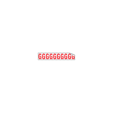 Foglio n. 10 etichette adesive B/R lettera G