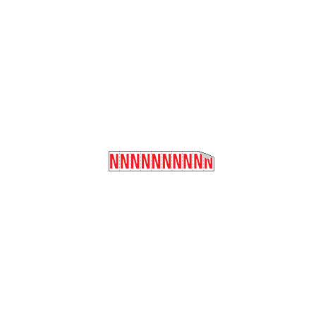 Foglio n. 10 etichette adesive B/R lettera N